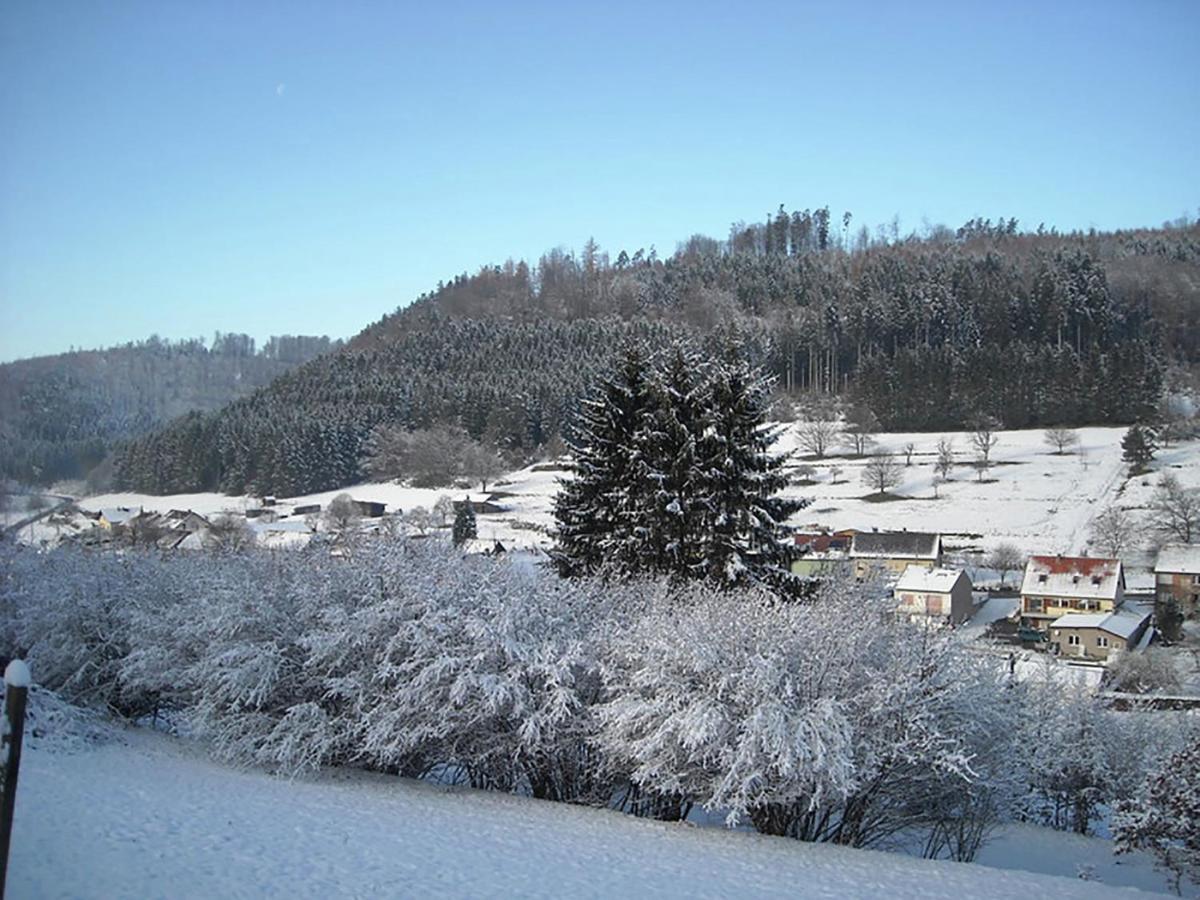 Cosy Holiday Home With Garden In Walscheid Buitenkant foto